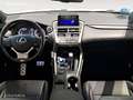 Lexus NX 300h 4WD WG F SPORT Blanco - thumbnail 8
