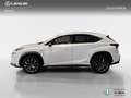 Lexus NX 300h 4WD WG F SPORT Blanco - thumbnail 3