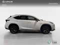Lexus NX 300h 4WD WG F SPORT Blanco - thumbnail 21