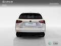 Lexus NX 300h 4WD WG F SPORT Blanco - thumbnail 4