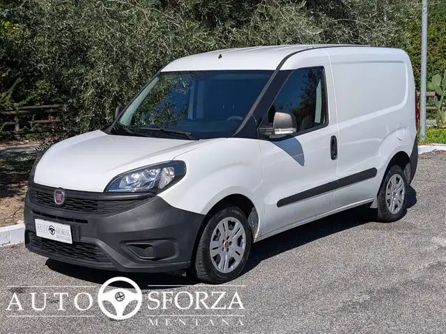 Fiat Doblo 1.6 Multijet 16v Lounge 105 Cv Cargo 3 Posti E6d