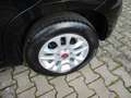 Fiat Panda More+Klima+ Noir - thumbnail 3