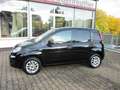 Fiat Panda More+Klima+ Noir - thumbnail 2