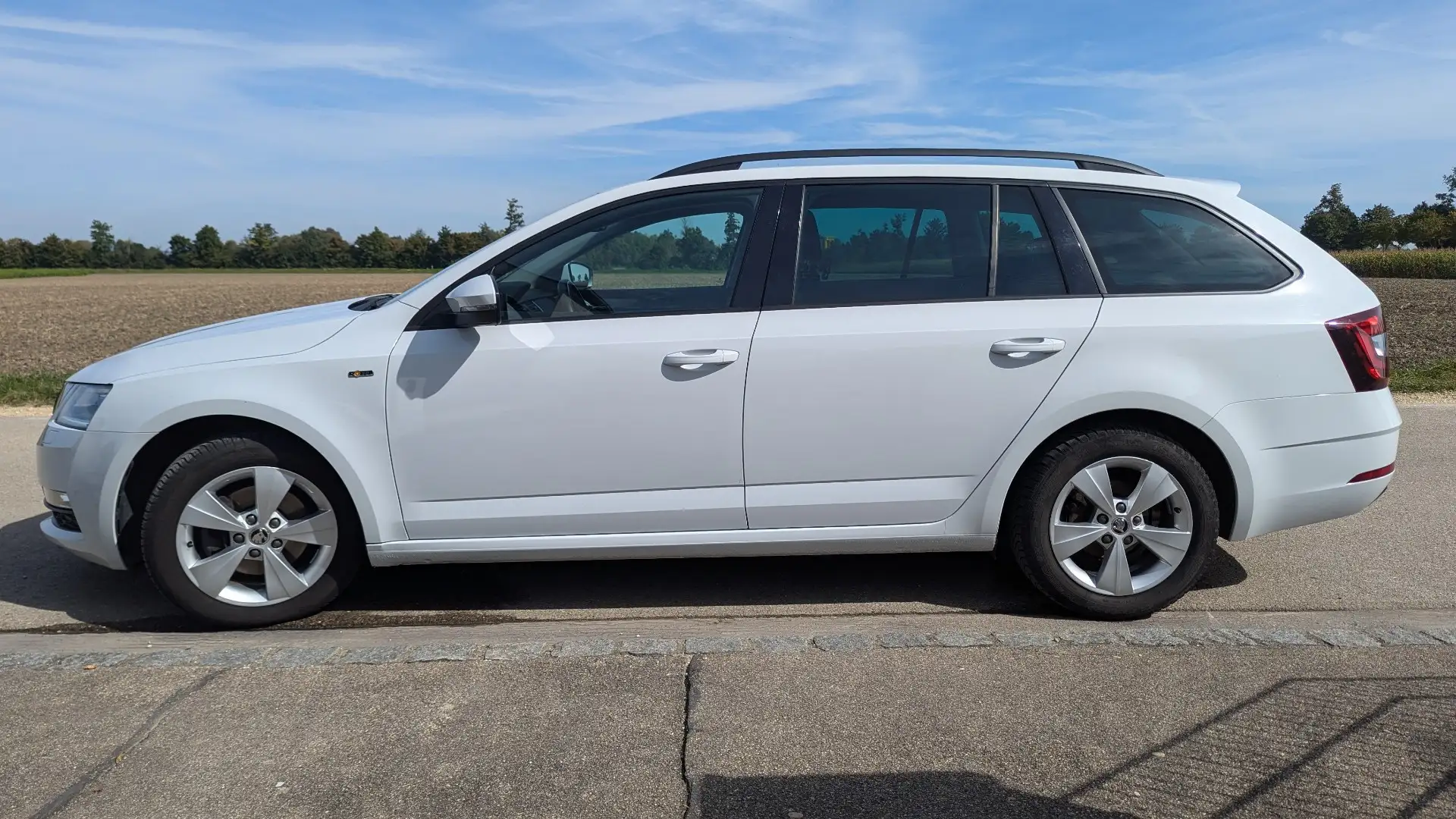 Skoda Octavia Soleil Weiß - 2