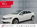 Volkswagen CC 2.0TDI DSG XEN+NAV+AHK+PANO+SHZ+RFK+2xPDC+GRA Wit - thumbnail 1