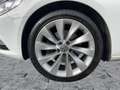 Volkswagen CC 2.0TDI DSG XEN+NAV+AHK+PANO+SHZ+RFK+2xPDC+GRA Wit - thumbnail 8