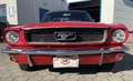 Ford Mustang Coupe Rot - thumbnail 6