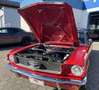Ford Mustang Coupe Rot - thumbnail 11