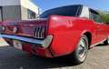 Ford Mustang Coupe Rot - thumbnail 12