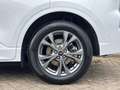 Ford Kuga ST-Line X 2.5 Plug-in Hybrid 225pk WinterPack - Dr Wit - thumbnail 8