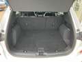 Ford Kuga ST-Line X 2.5 Plug-in Hybrid 225pk WinterPack - Dr Wit - thumbnail 19