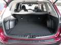 Subaru Forester Comfort Niveau Navi Memory Sitze LED Kurvenlicht S Rojo - thumbnail 15