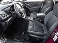 Subaru Forester Comfort Niveau Navi Memory Sitze LED Kurvenlicht S Rojo - thumbnail 10