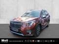 Subaru Forester Comfort Niveau Navi Memory Sitze LED Kurvenlicht S Rojo - thumbnail 1