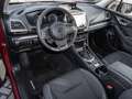 Subaru Forester Comfort Niveau Navi Memory Sitze LED Kurvenlicht S Rojo - thumbnail 5