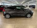 Ford Fiesta 1.1 Titanium 75 CV GPL Grau - thumbnail 6