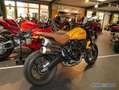 Ducati Top Zustand Gelb - thumbnail 3