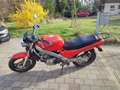 Honda NTV 650 Bastler Rouge - thumbnail 3