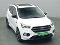 Ford Kuga ST-Line 150PS Weiß - thumbnail 37