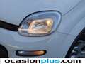 Fiat Panda 1.0 Gse City Live Hybrid Blanco - thumbnail 11