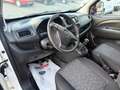 Opel Combo 1.6 CDTI 105CV PC-TA Van Blitz (1000kg) E6 Blanc - thumbnail 7