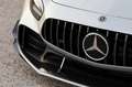 Mercedes-Benz AMG GT R PRO Coupé  Speedshift DCT Silber - thumbnail 1