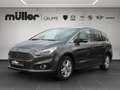 Ford S-Max Titanium EcoBoost Grau - thumbnail 1