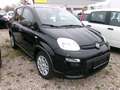 Fiat Panda 5-Sitzer City Paket Schwarz - thumbnail 1
