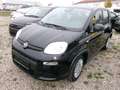 Fiat Panda 5-Sitzer City Paket Schwarz - thumbnail 2