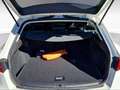 SEAT Leon 3ª serie 1.5 TGI ST XCELLENCE Bianco - thumbnail 14