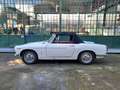 Innocenti Sonstige 1100 S Spider – SUMMER PRICE Weiß - thumbnail 3