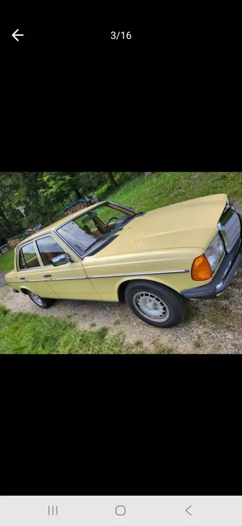 Oldtimer Mercedes Benz 240d - 2