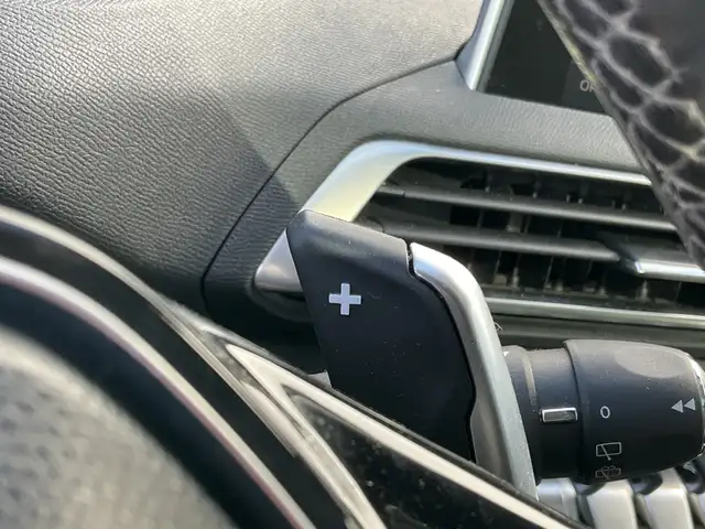 Peugeot 3008 view 14