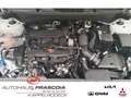 Kia Sportage Spirit 1.6 T-GDI Mild-Hybrid Navi LED PDC SHZ Rück Wit - thumbnail 13