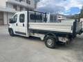 Fiat ducato 7 posti cassone ribaltabile Bianco - thumbnail 2