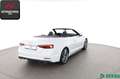 Audi S5 Cabrio V6 TFSI qu S-SITZE,VIRTUAL,MASSAGE,HUD Weiß - thumbnail 5