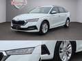 Skoda Octavia 2,0 TDI*DSG*ACC*WERKSGARANTIE*LED*NAVI*KREDIT Weiß - thumbnail 9