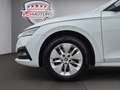 Skoda Octavia 2,0 TDI*DSG*ACC*WERKSGARANTIE*LED*NAVI*KREDIT Weiß - thumbnail 11