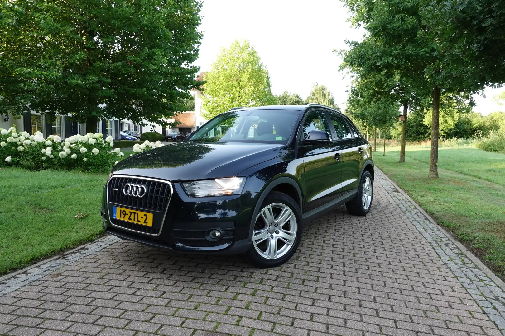 Audi Q3 2.0 TFSI quattro Pro Line | NAP | | Trekhaak | Cru Bleu - 1