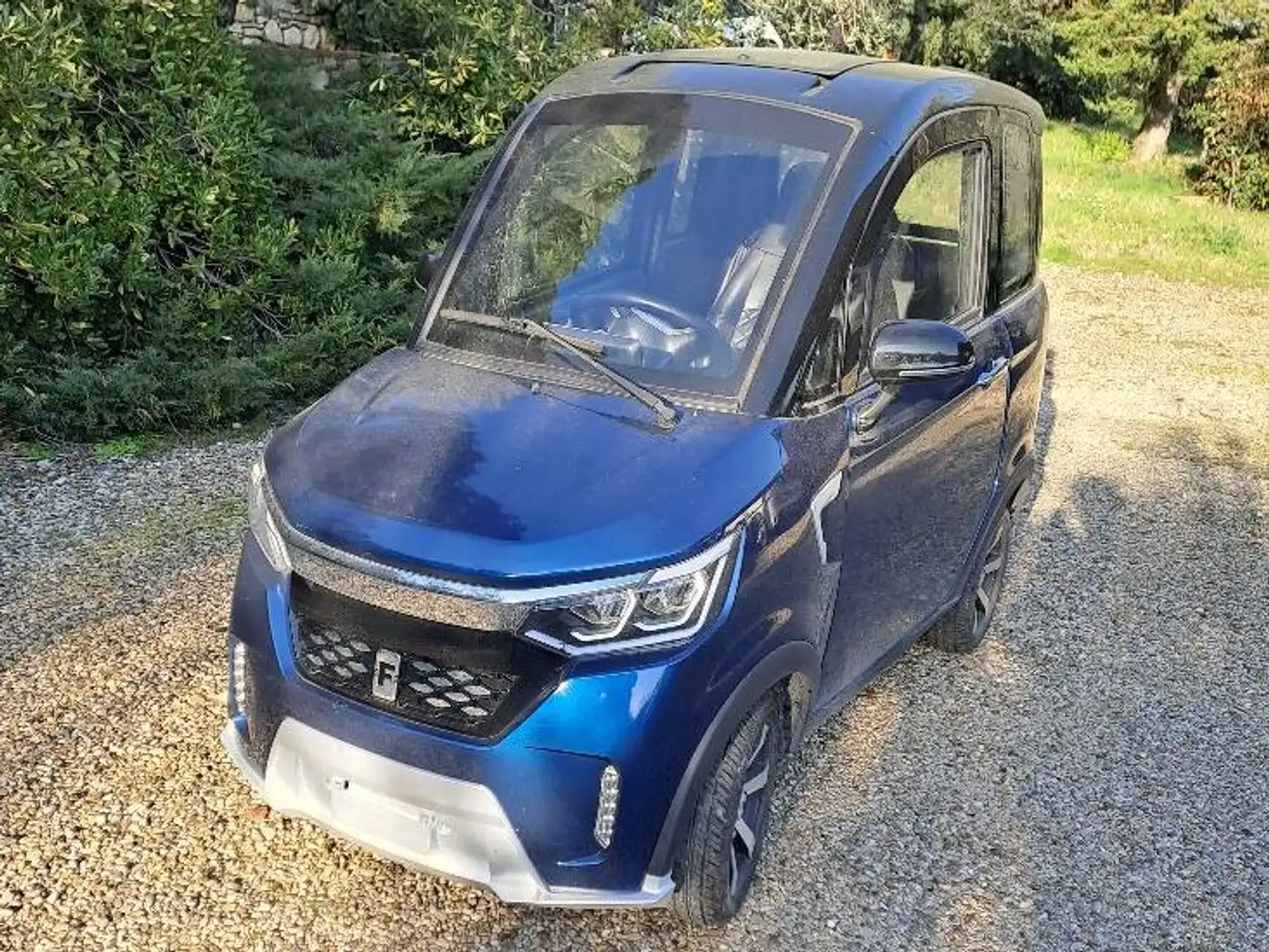 BYD Auto per anziani e disabili Modrá - 2