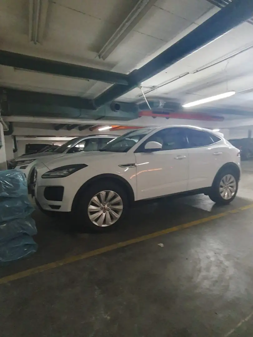Jaguar E-Pace E-Pace 2.0DI4 D180 S AWD Aut. S Weiß - 1