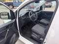 Volkswagen Caddy Maxi Kasten 4Motion*PickerlNEU*Klima*Tempomat*MwSt Weiß - thumbnail 6