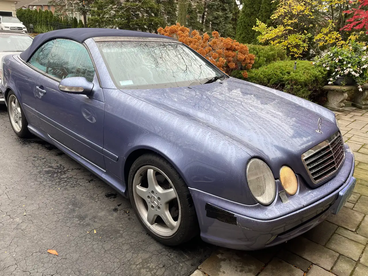 Mercedes-Benz CLK photo Mercedes-Benz CLK