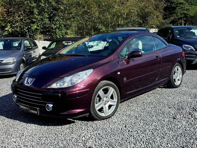 Peugeot 307 Cabrio Airco Elektrische Ruiten JBL SPORT *