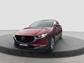 Mazda CX-30 2.0 Skyactiv-G M Hybrid 122cv Exceed Bose So Rosso - thumbnail 1