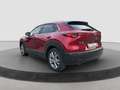 Mazda CX-30 2.0 Skyactiv-G M Hybrid 122cv Exceed Bose So Rosso - thumbnail 4