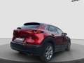 Mazda CX-30 2.0 Skyactiv-G M Hybrid 122cv Exceed Bose So Rosso - thumbnail 6