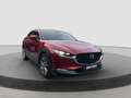 Mazda CX-30 2.0 Skyactiv-G M Hybrid 122cv Exceed Bose So Rosso - thumbnail 3