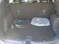 Ford Kuga ST-Line X 2.5 Plug In Hybrid 225 CV CVT Full Optio Schwarz - thumbnail 34