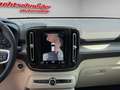 Volvo XC40 Rech. T5 Inscription+Pilot Assist+360°Kam+ Gris - thumbnail 10